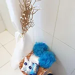 شقة Anton