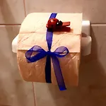 شقة Anton باغ